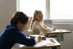 simularea națională, examen, simulări