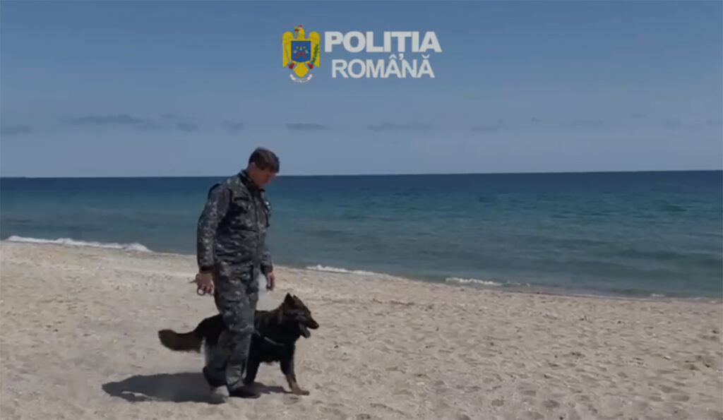 Echipaj canin poliție