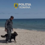 Echipaj canin poliție