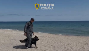 Echipaj canin poliție