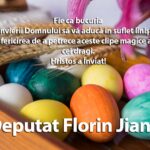 Florin Jianu