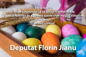Florin Jianu
