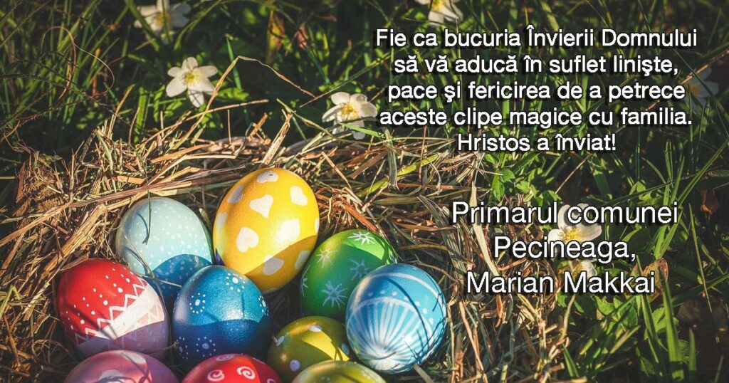 WhatsApp Image 2026-04-11 at 20.42.48 (3)