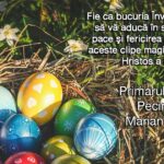 WhatsApp Image 2026-04-11 at 20.42.48 (3)