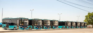 Autobuze Mangalia, gratuitate