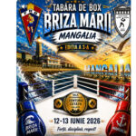 Box Mangalia