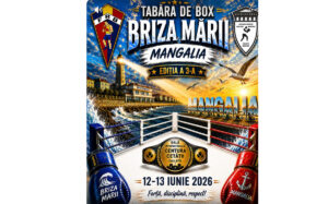 Box Mangalia