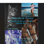 Expoziție de pictură și grafică semnată de artista Mihaela Rizon