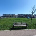 parc de joacă pentru căței