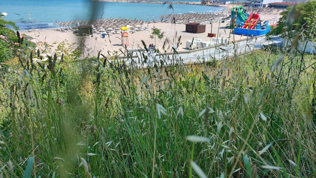 Bălării Mangalia, callatis Urban