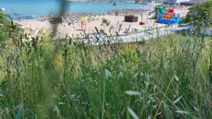 Bălării Mangalia, callatis Urban
