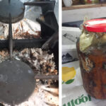 Protecția Consumatorilor pe litoral 2026