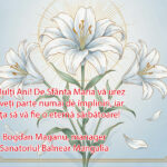 WhatsApp Image 2026-08-15 at 17.10.07