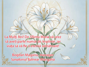 WhatsApp Image 2026-08-15 at 17.10.07